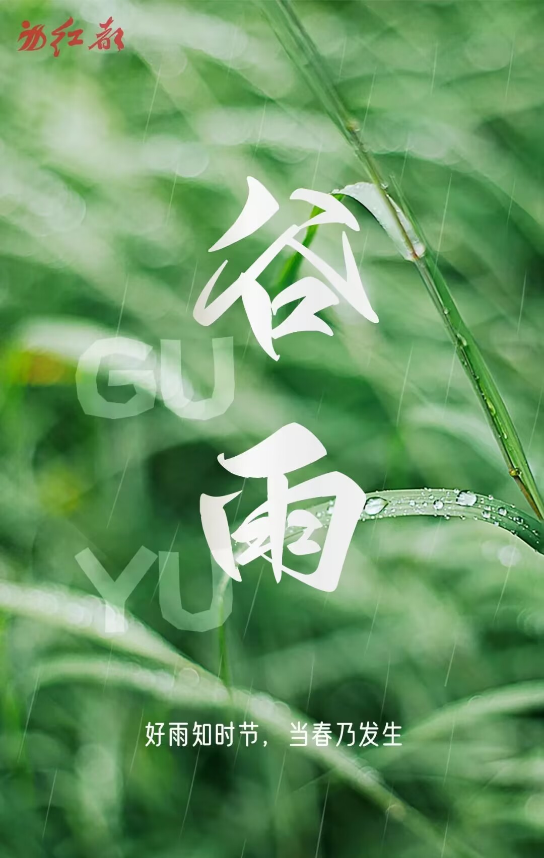 E7E7C8BF2B6ACD3F534B3563682D81C9.jpg